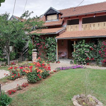 Apartman Mika سوكو بانيا المظهر الخارجي الصورة