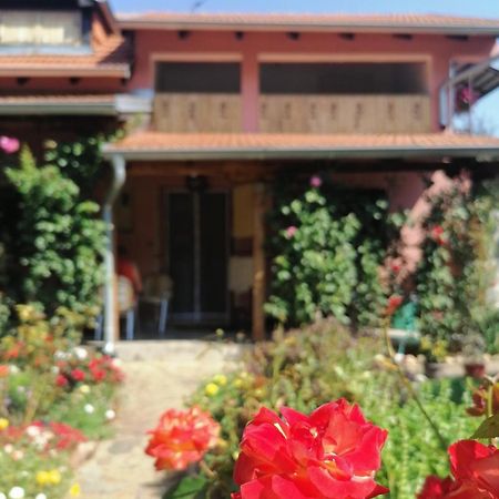 Apartman Mika سوكو بانيا المظهر الخارجي الصورة
