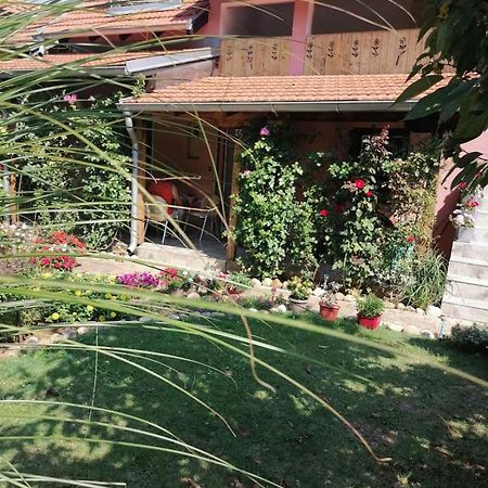 Apartman Mika سوكو بانيا المظهر الخارجي الصورة