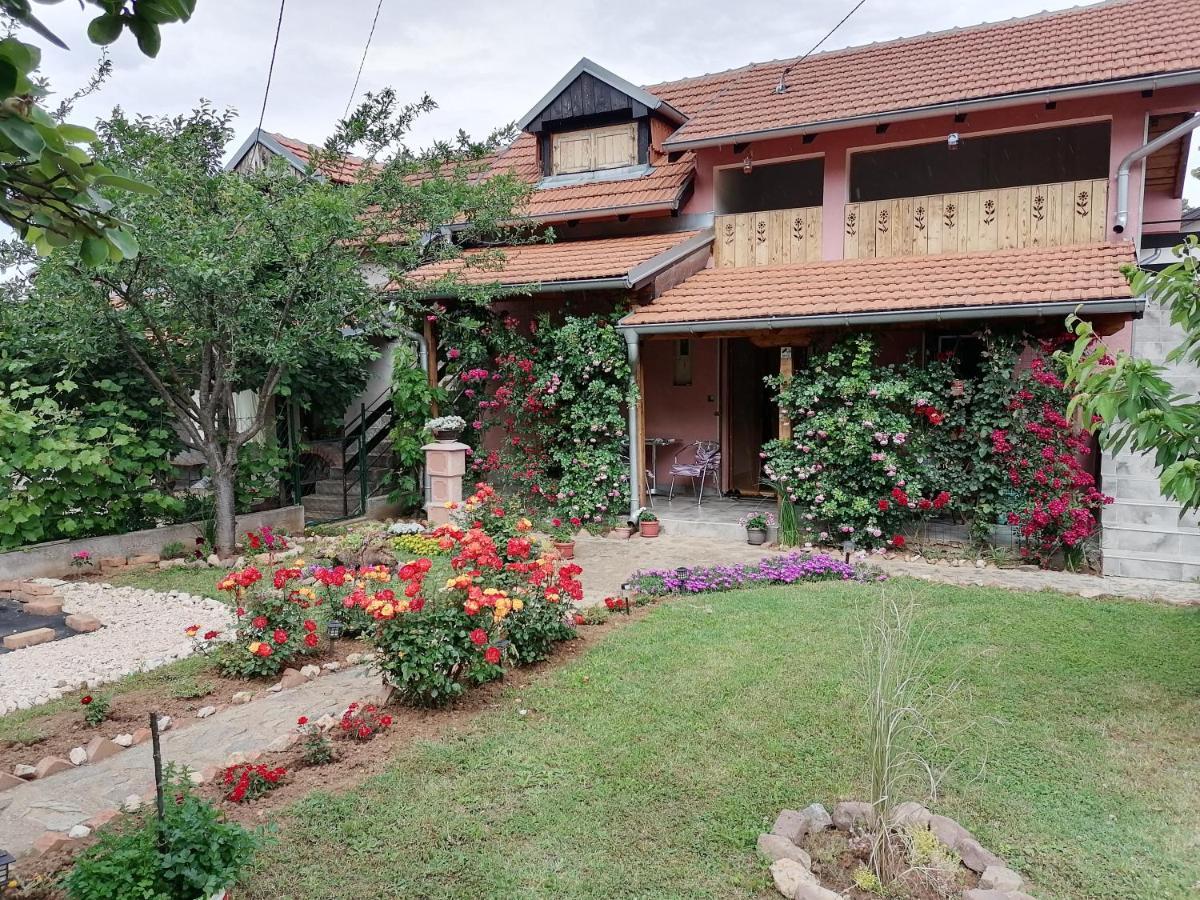 Apartman Mika سوكو بانيا المظهر الخارجي الصورة